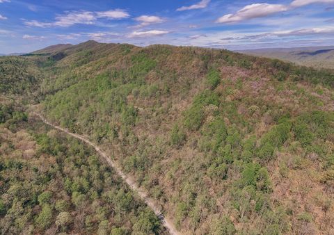 Vacant Land For Sale - Sugar Tree Hollow Rd<br/> Eagle Rock, VA 24085