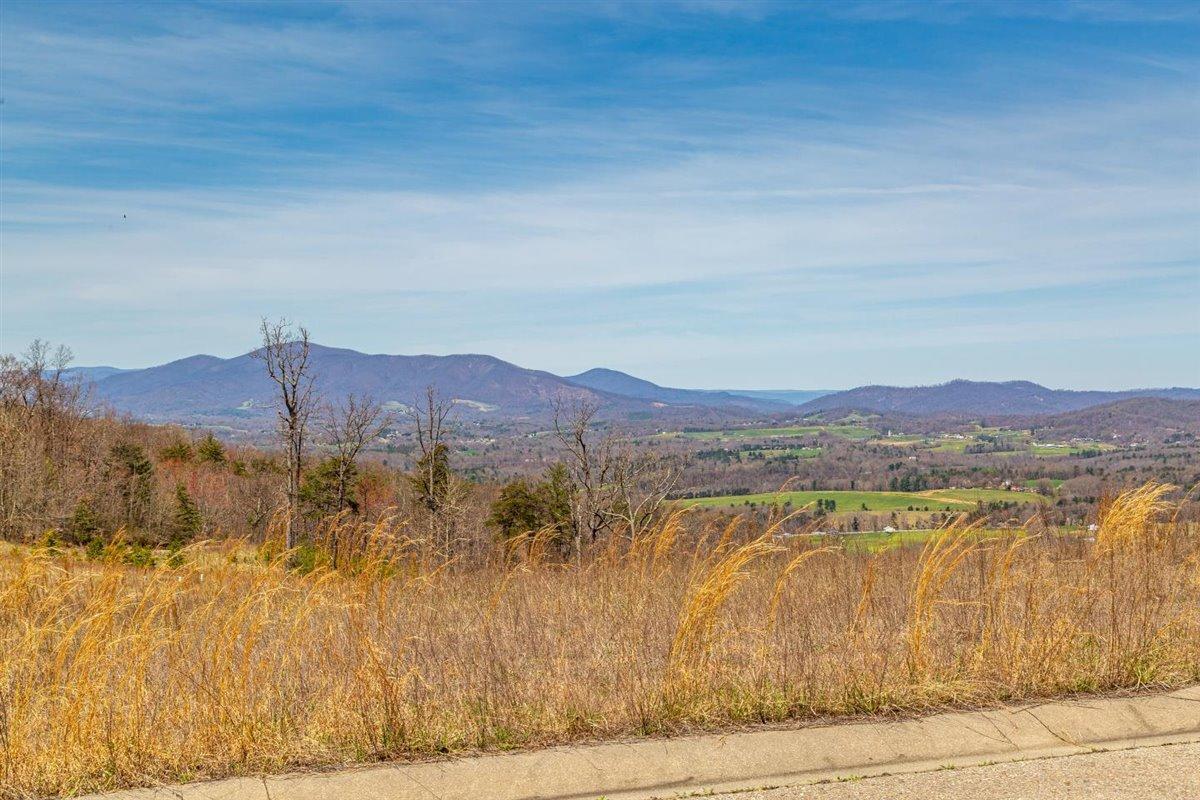 Lot 65 Penny Ln, Rocky Mount, Virginia image 4