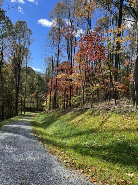 Vacant Land For Sale - Little Catawba Creek Rd<br/> Troutville, VA 24175