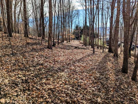 Vacant Land For Sale - Irish Mountain Rd<br/> Allisonia, VA 24347