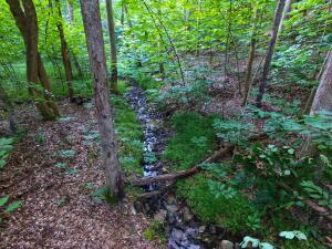 Lot 61 Lakepointe Cove Ct, Glade Hill, Virginia image 1