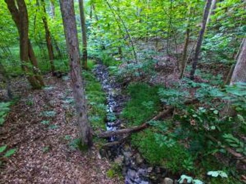Vacant Land For Sale - LOT 61 Lakepointe Cove Ct<br/> Glade Hill, VA 24092