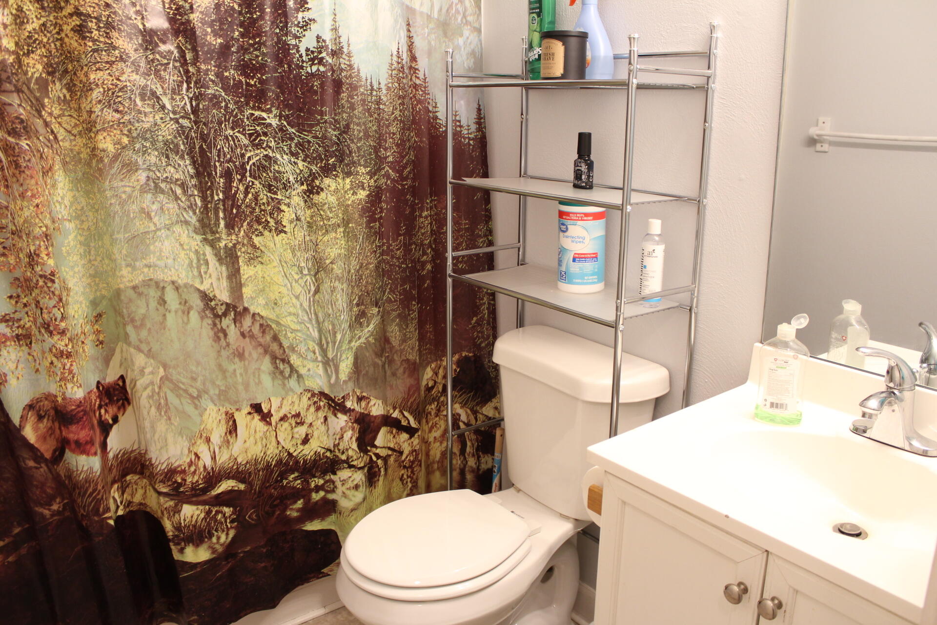 8728 Bradshaw Rd, Salem, Virginia image 31