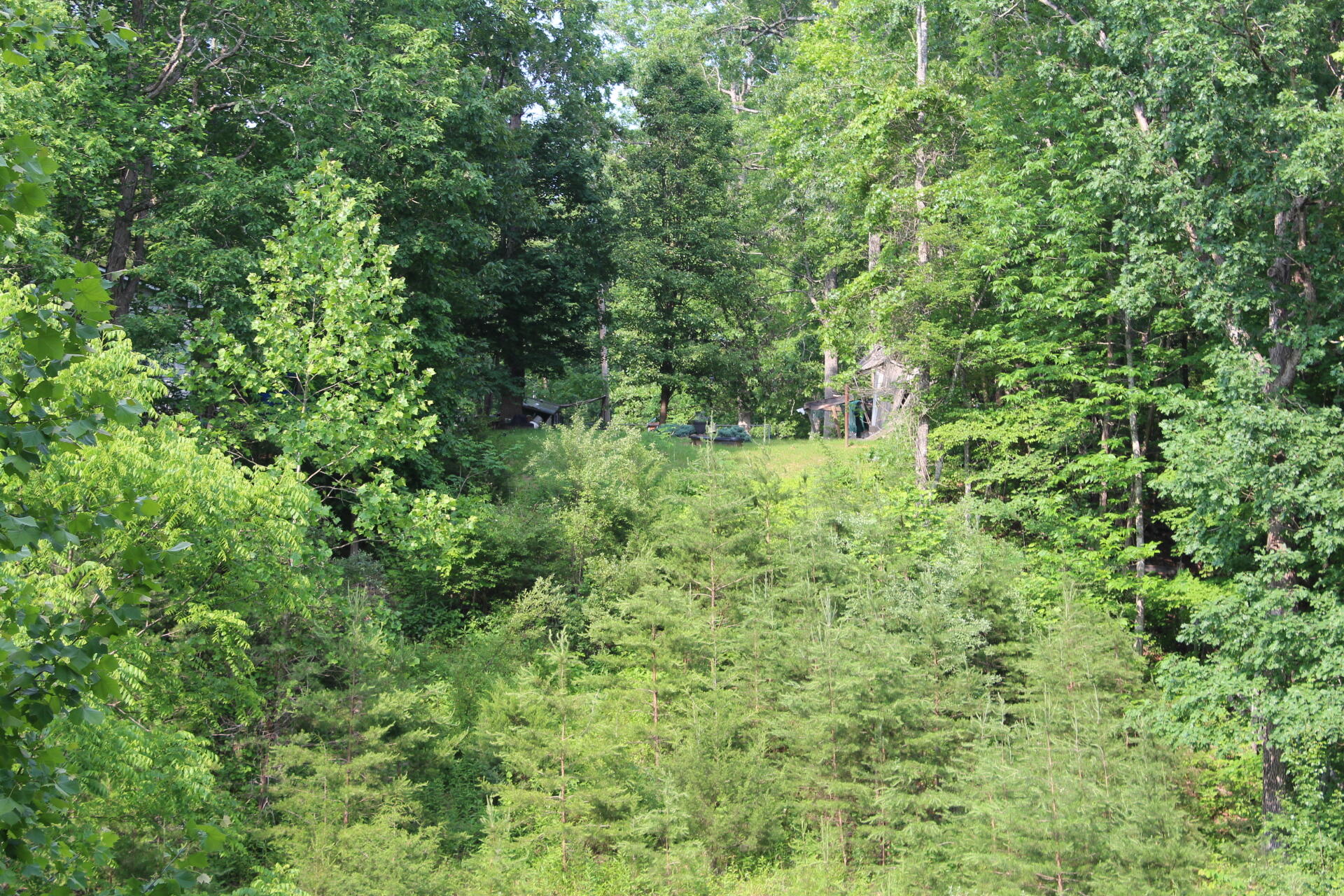 8728 Bradshaw Rd, Salem, Virginia image 44