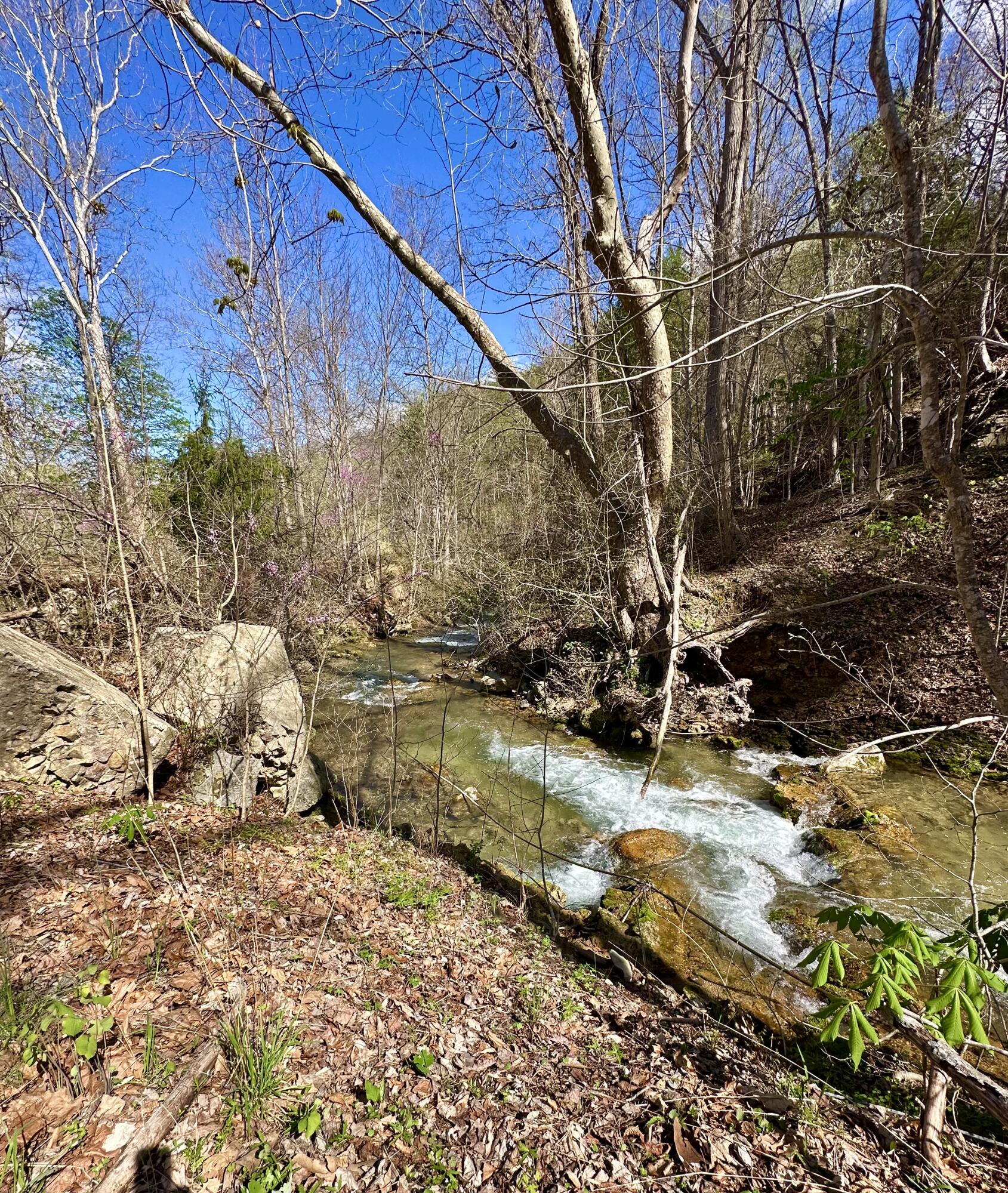 5910 Falls Rd, Hot Springs, Virginia image 3