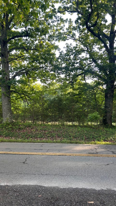 Vacant Land For Sale - Cifax Rd<br/> Bedford, VA 24523