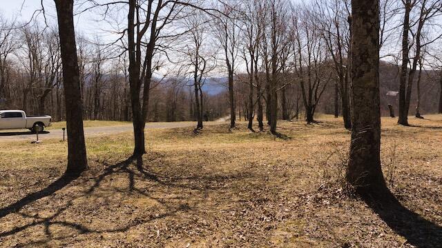 Lot 1 Grandview Dr, Meadows of Dan, Virginia image 15
