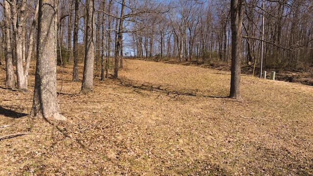 Lot 1 Grandview Dr, Meadows of Dan, Virginia image 6