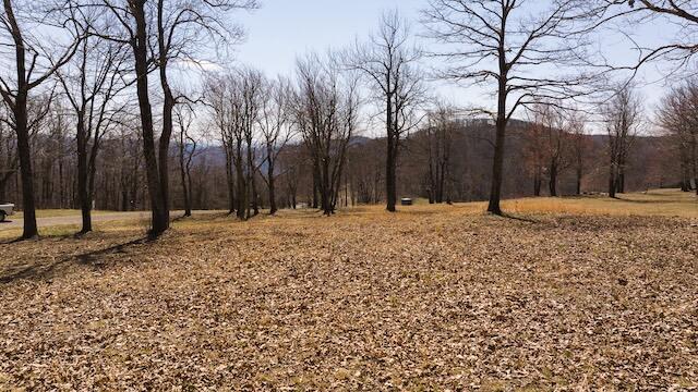 Lot 1 Grandview Dr, Meadows of Dan, Virginia image 10