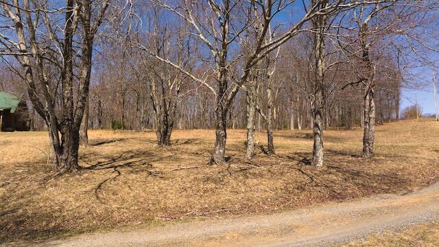 Lot 1 Grandview Dr, Meadows of Dan, Virginia image 2