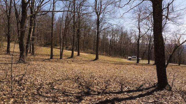 Lot 1 Grandview Dr, Meadows of Dan, Virginia image 9