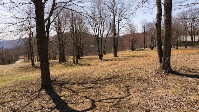 Lot 1 Grandview Dr, Meadows of Dan, Virginia image 7