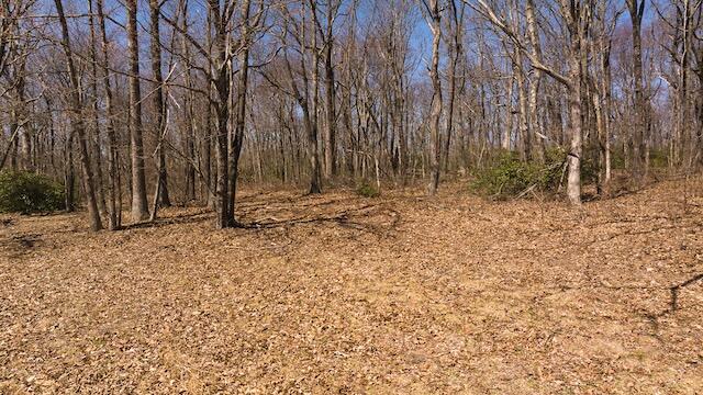 Lot 1 Grandview Dr, Meadows of Dan, Virginia image 8