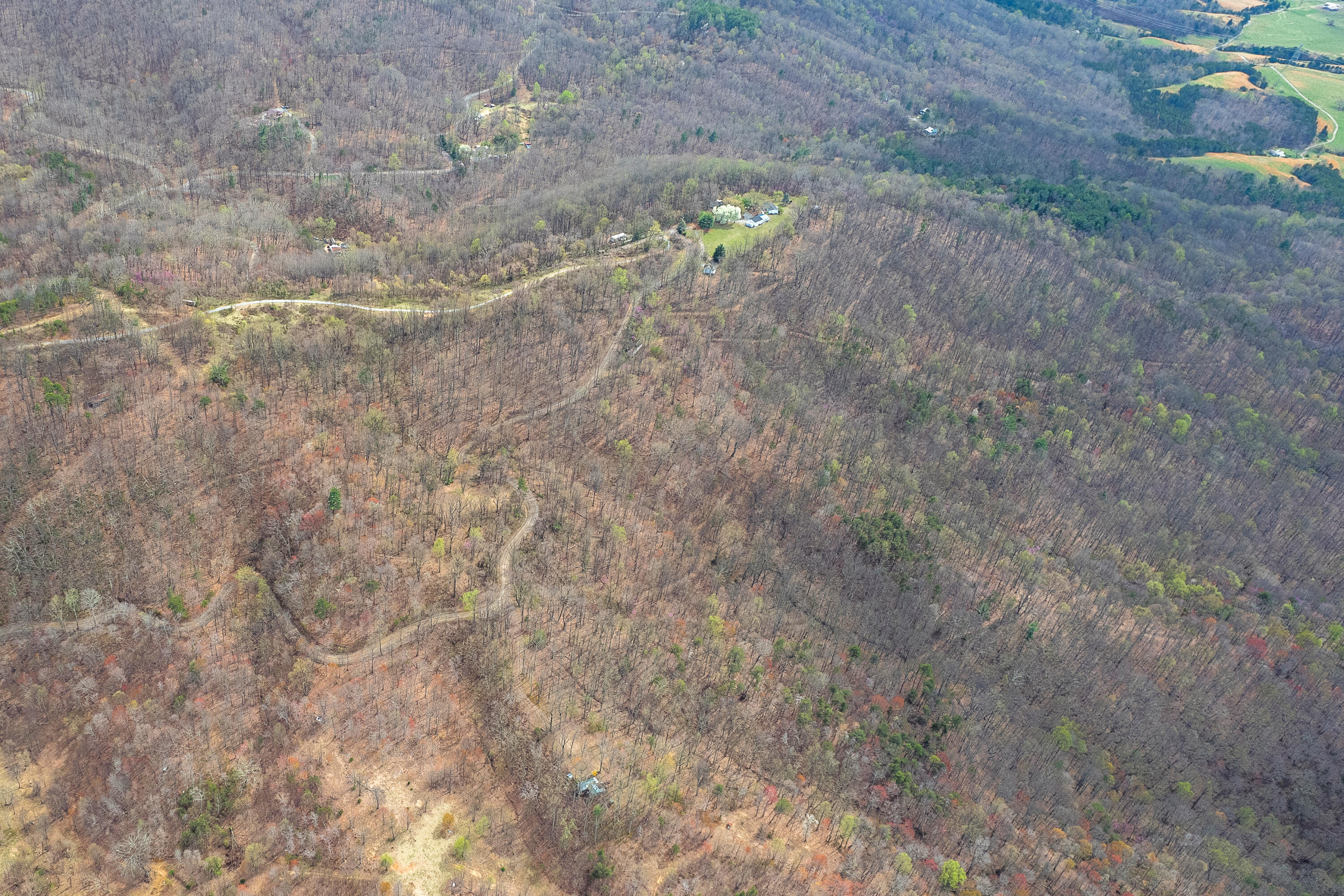 Lot 1 Murray Hollow Rd, Thaxton, Virginia image 12