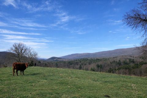 Vacant Land For Sale - 0000 Wolfe Rd<br/> Covington, VA 24426