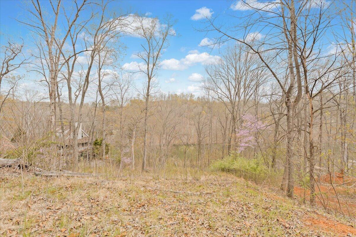 Lot 82 Lakeshore Terrace Rd, Hardy, Virginia image 12