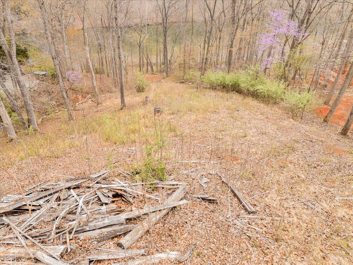 Lot 82 Lakeshore Terrace Rd, Hardy, Virginia image 3