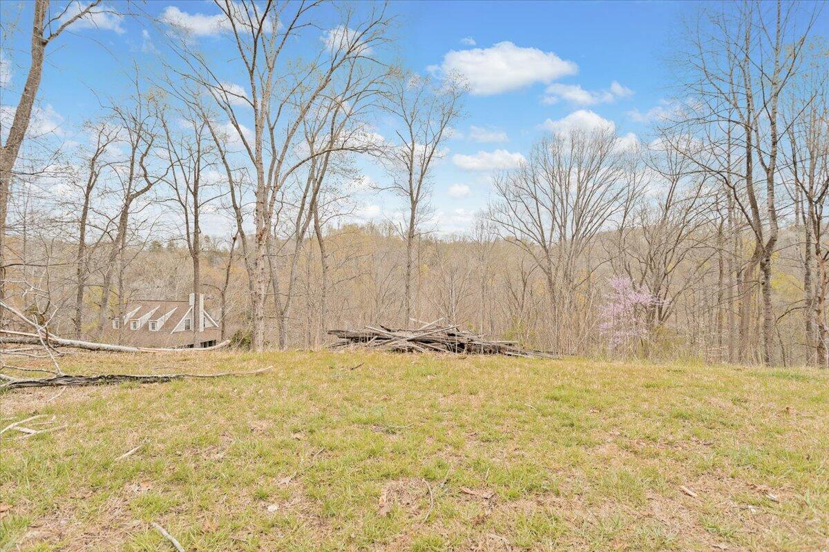 Lot 82 Lakeshore Terrace Rd, Hardy, Virginia image 1