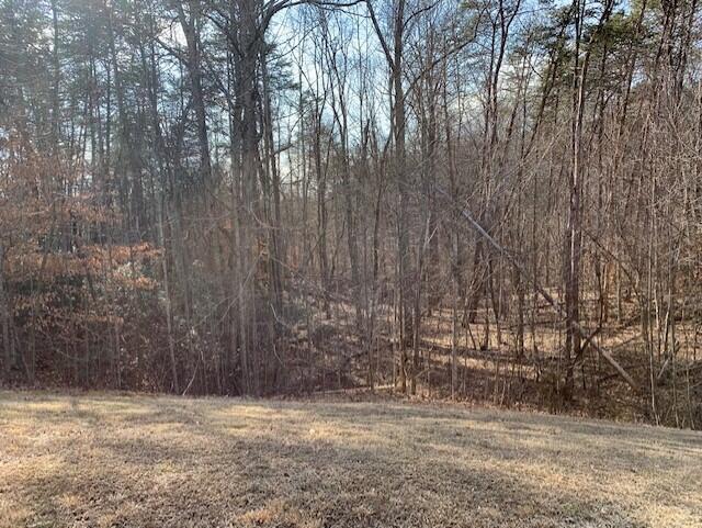 LOT 138 Marina View Rd, Gretna, Virginia image 3