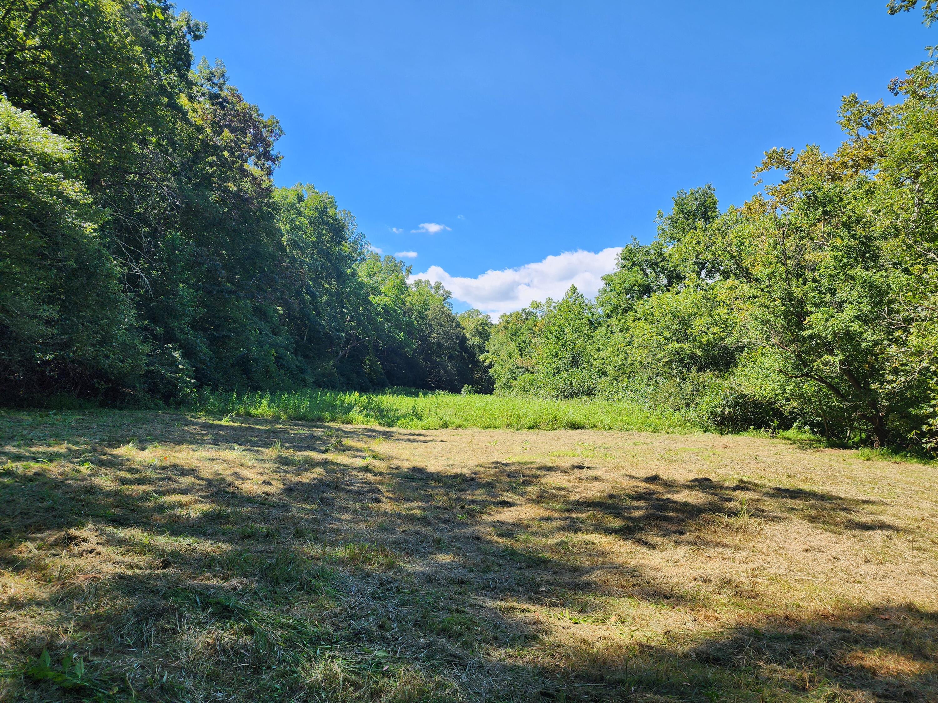 Glade Hill, Virginia 24092, United States, ,Land,Active,198270