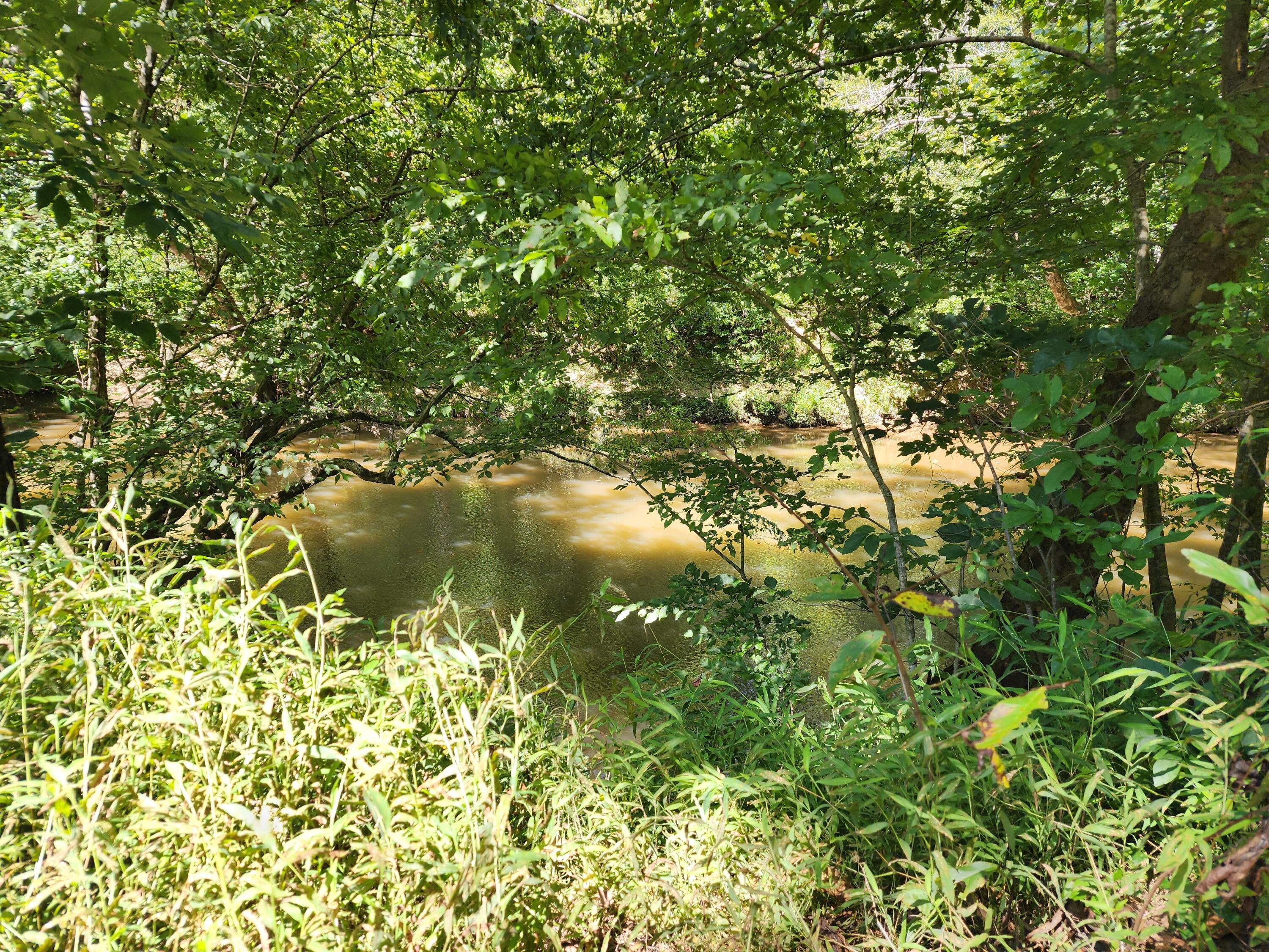 Glade Hill, Virginia 24092, United States, ,Land,Active,198270