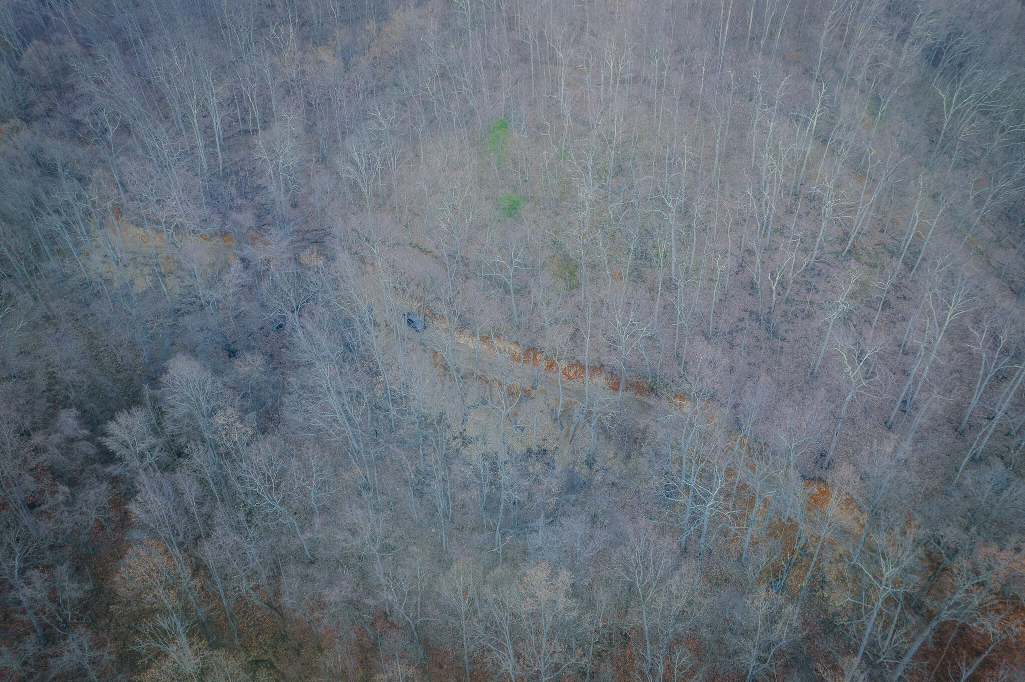 Glade Creek Rd, Roanoke, Virginia image 14