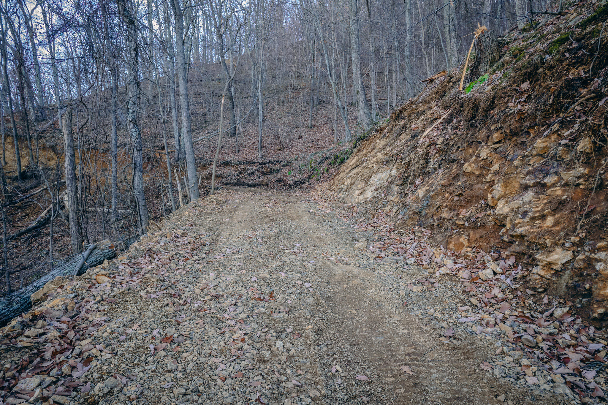 Glade Creek Rd, Roanoke, Virginia image 12