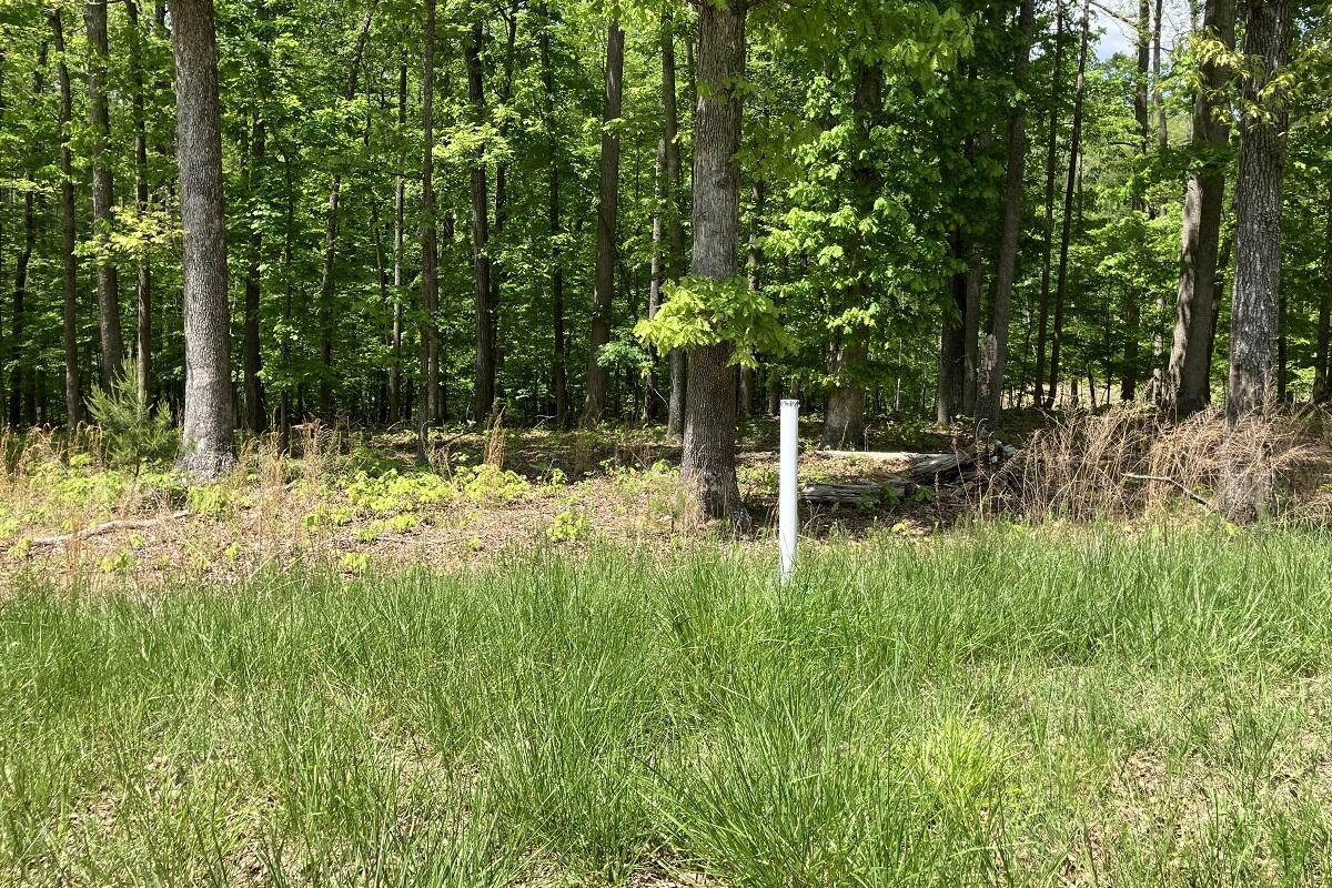 Lot 8 Red Barn Ln, Wirtz, Virginia image 5