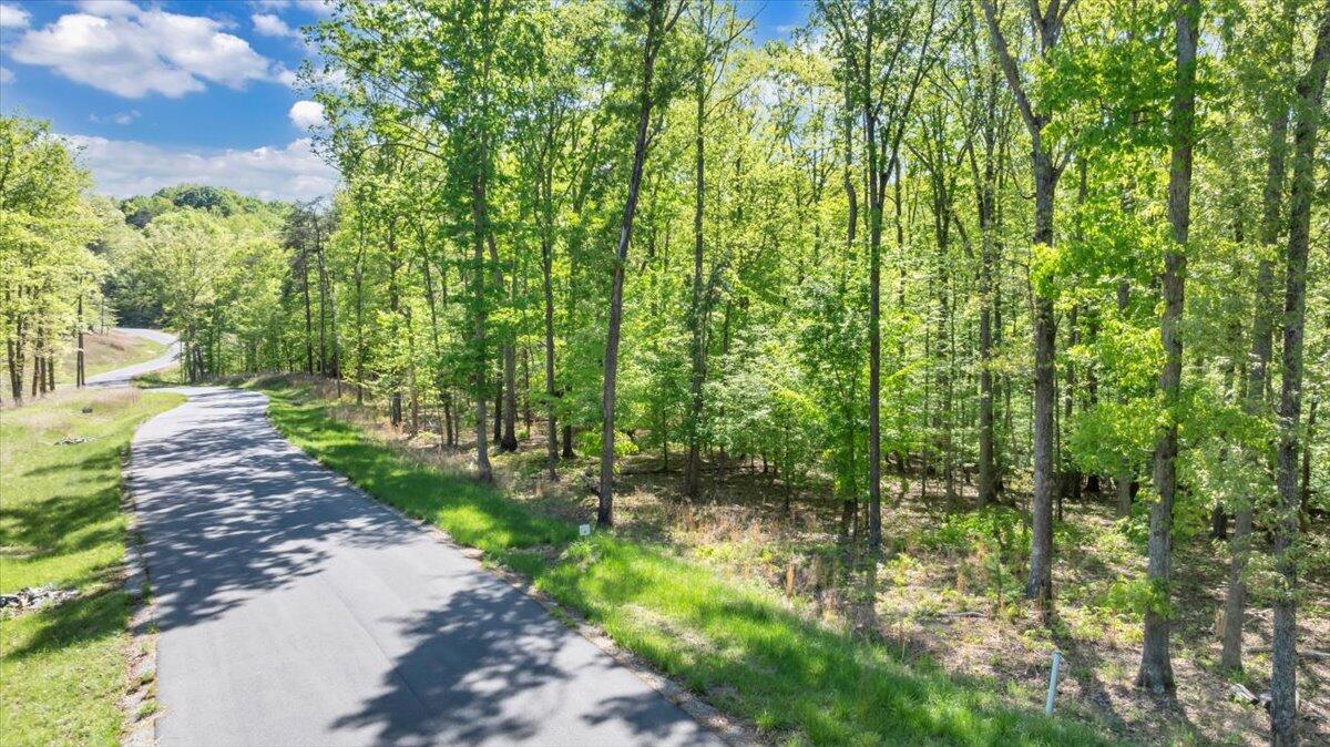 Lot 8 Red Barn Ln, Wirtz, Virginia image 1