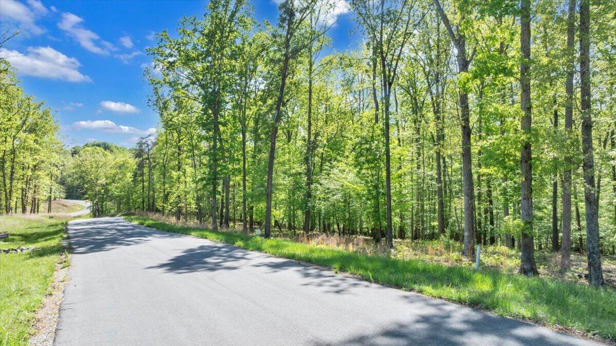 Lot 8 Red Barn Ln, Wirtz, Virginia image 2