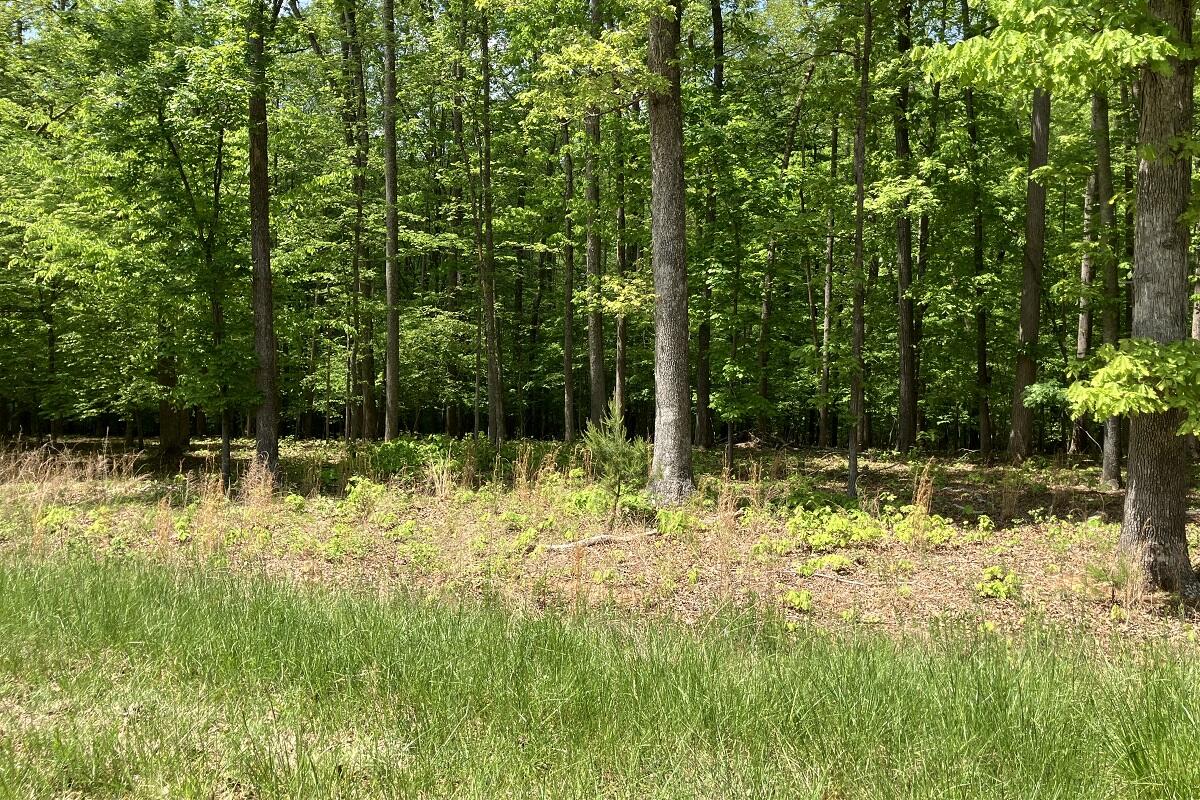 Lot 8 Red Barn Ln, Wirtz, Virginia image 3