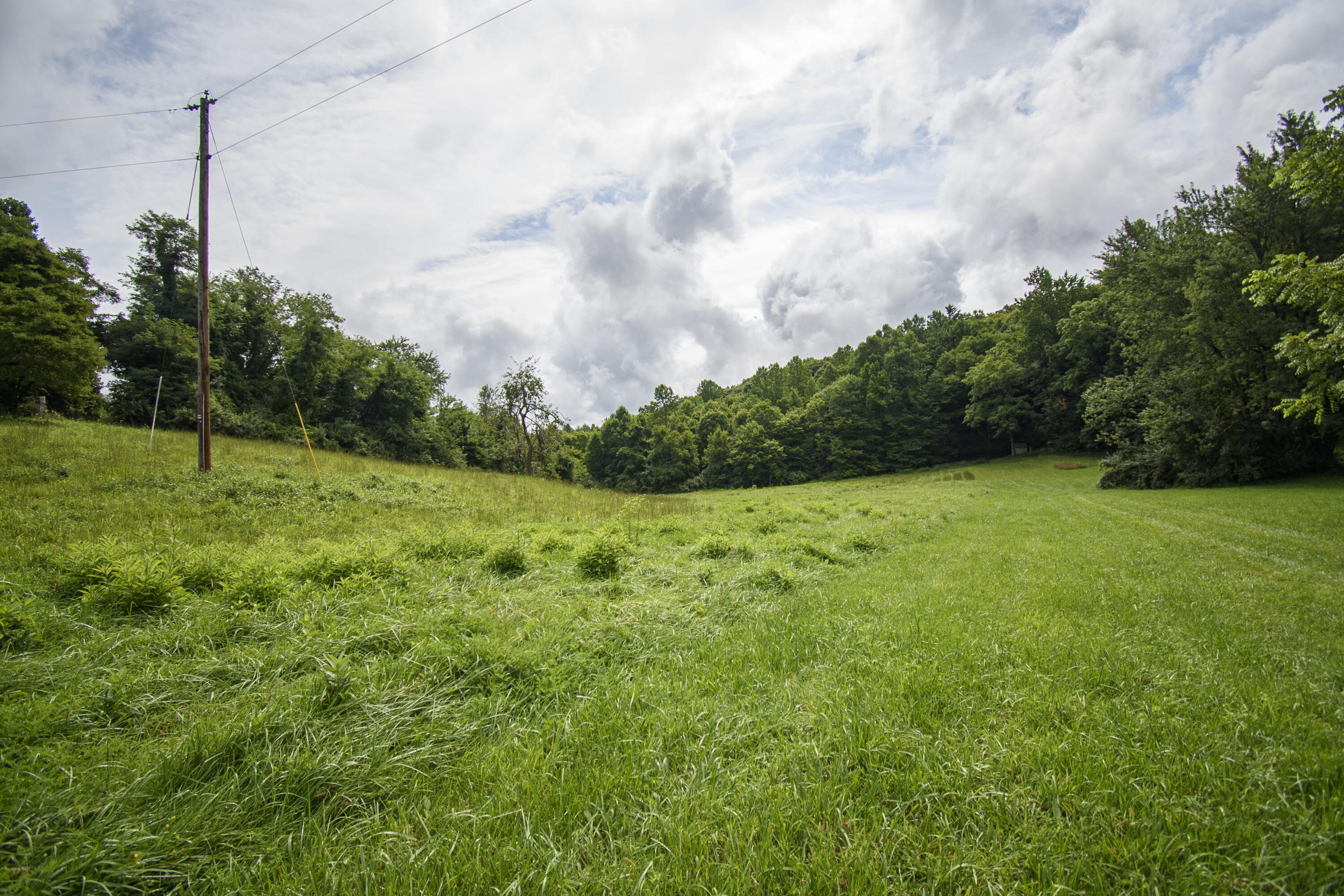 TBD Countyline Church Rd, Floyd, Virginia image 1