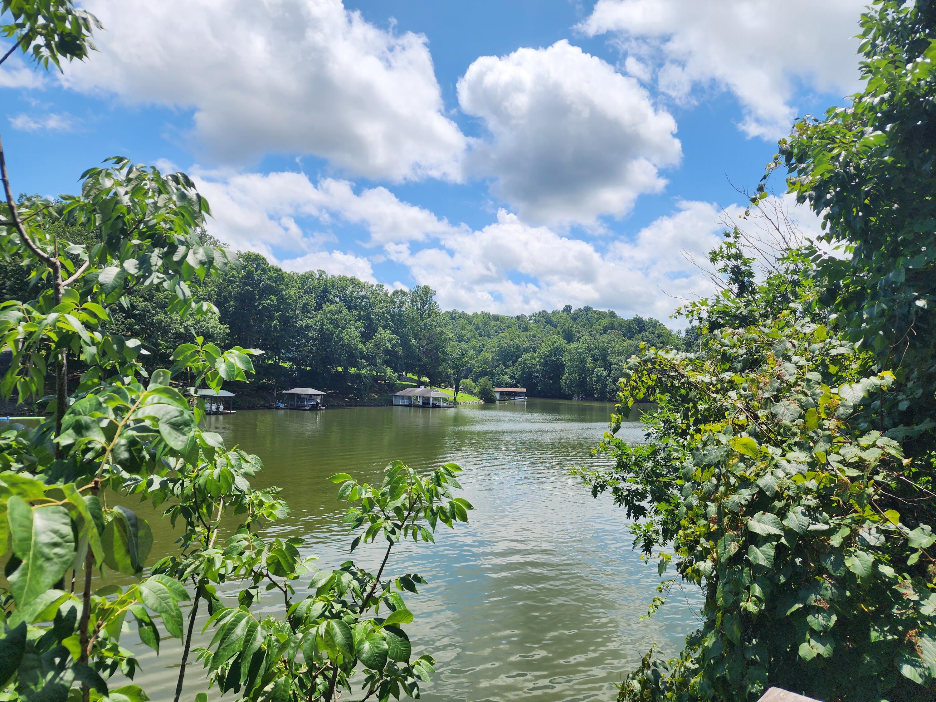 Glade Hill, Virginia 24092, United States, ,Land,Active,174661