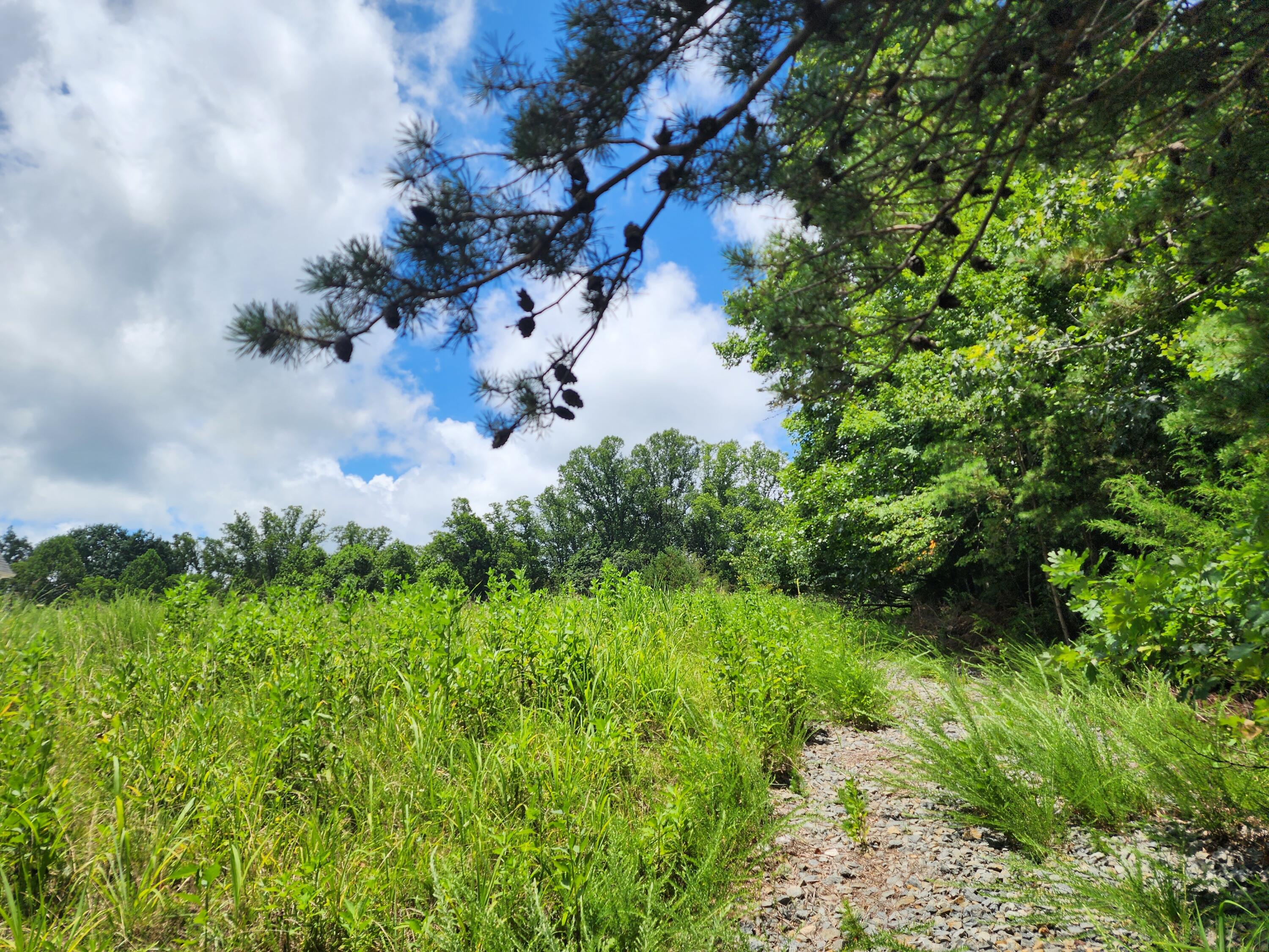 Glade Hill, Virginia 24092, United States, ,Land,Active,174661