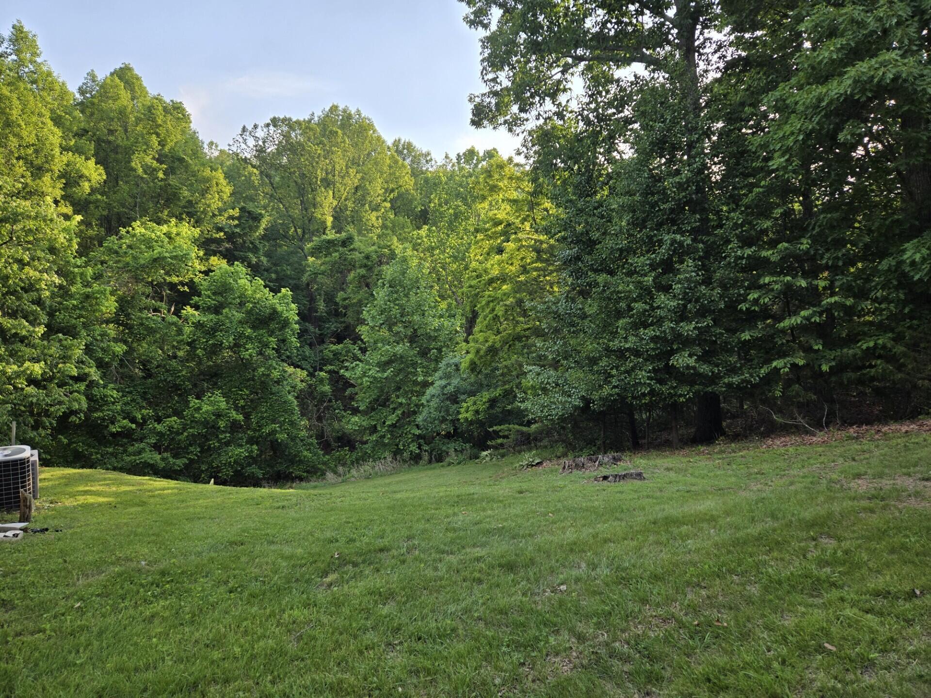 100 View Dr, Goodview, Virginia image 44