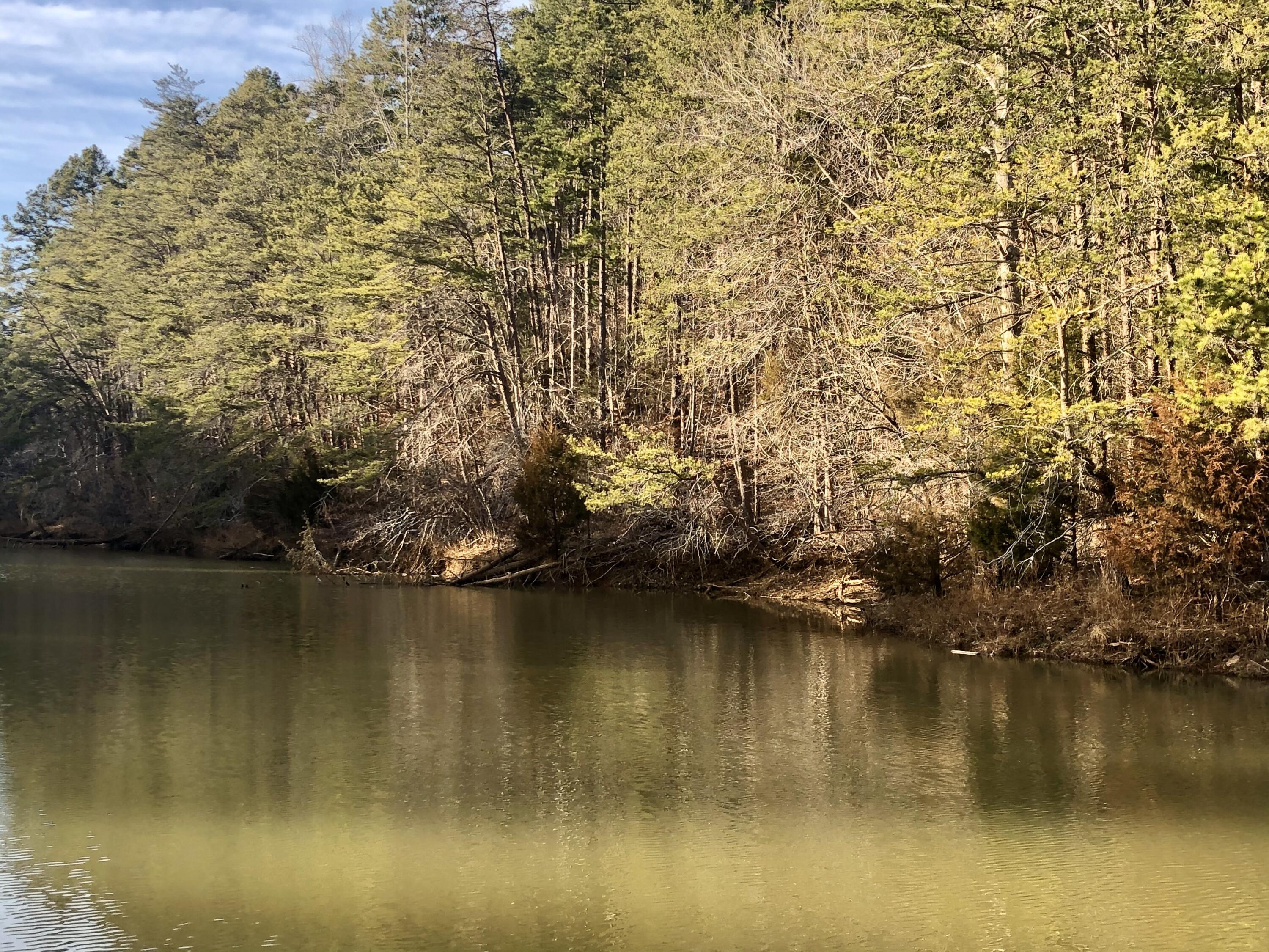Lot 247 Clear Pointe Run, Lynch Station, Virginia image 1
