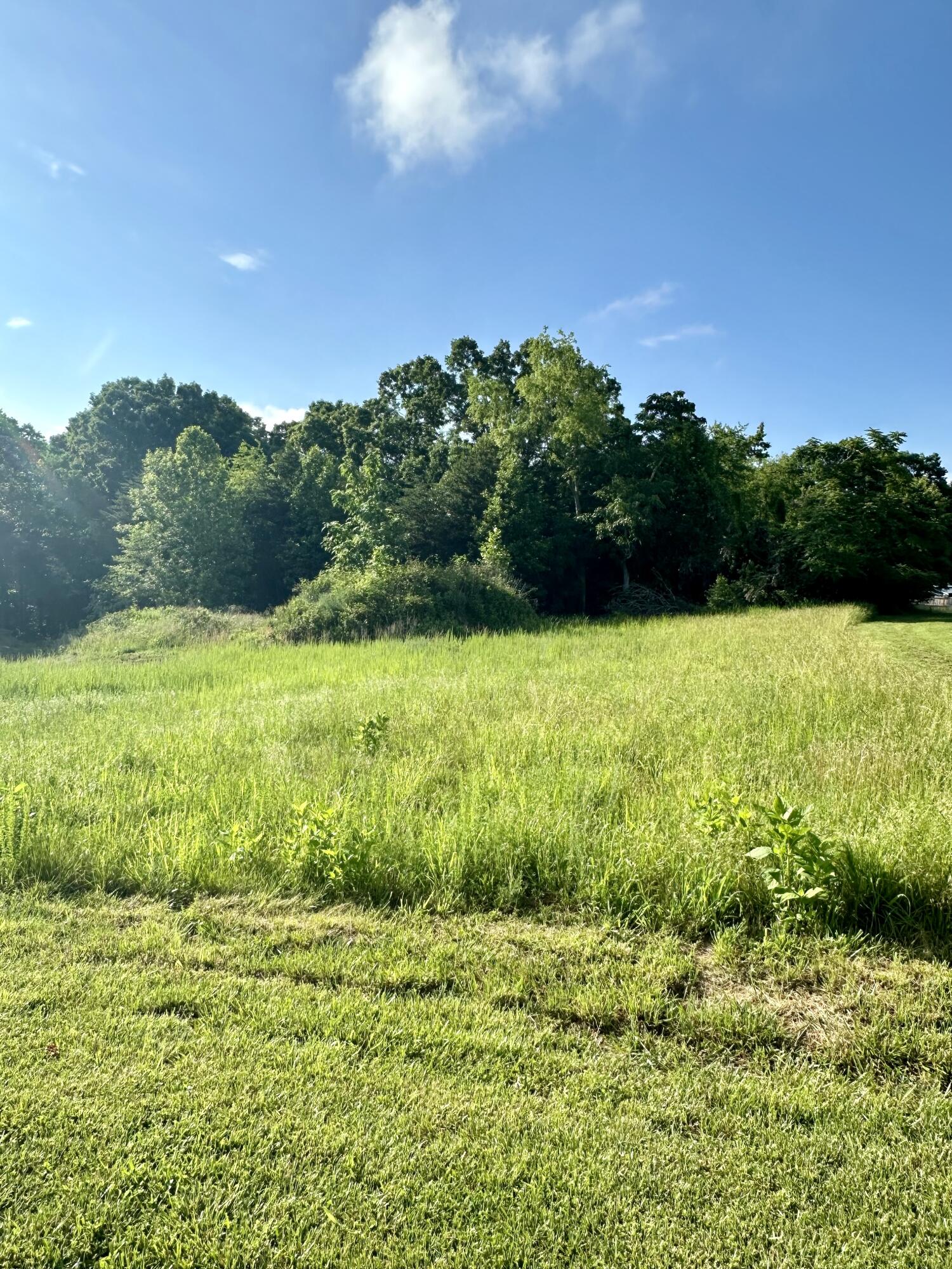 Lot 4 & 5 Virginia Ridge Dr, Hardy, Virginia image 3