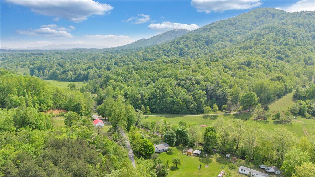 1567 Runnett Bag Rd, Ferrum, Virginia image 50