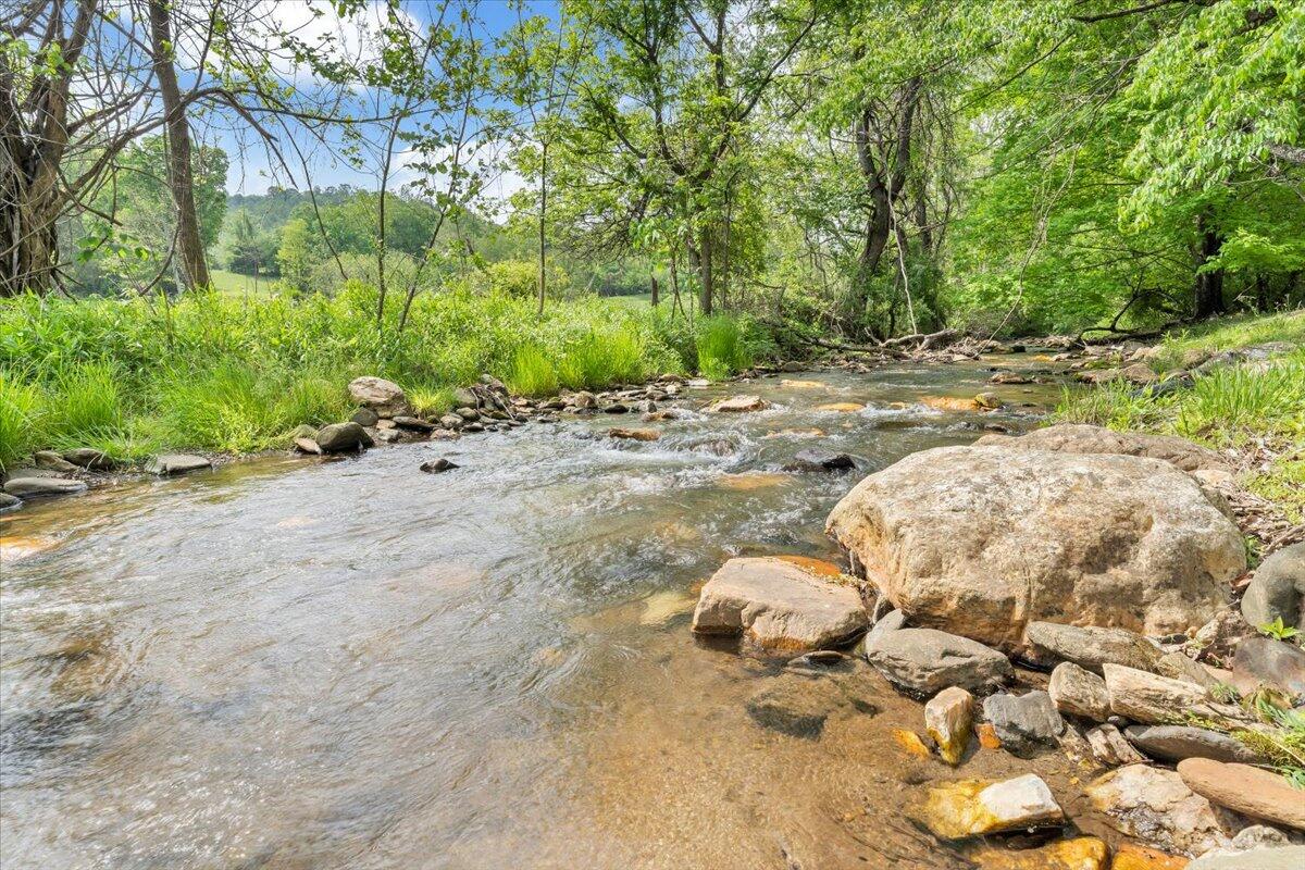 1567 Runnett Bag Rd, Ferrum, Virginia image 38