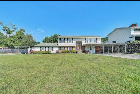 Homes For Sale - 3707 Springvale St<br/> Roanoke, VA 24014
