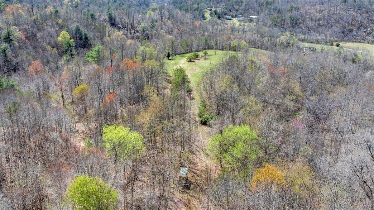 Bandy Rd, Roanoke, Virginia image 8