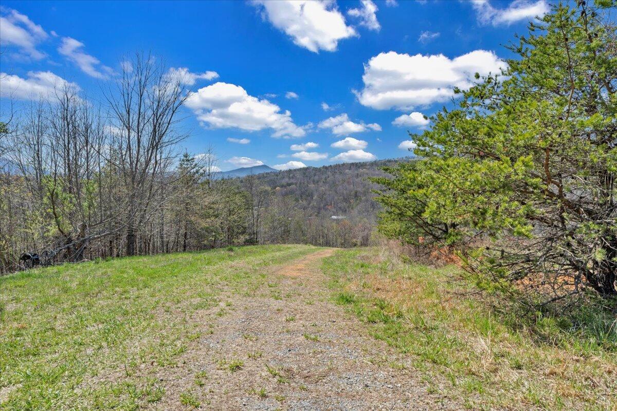 Bandy Rd, Roanoke, Virginia image 19