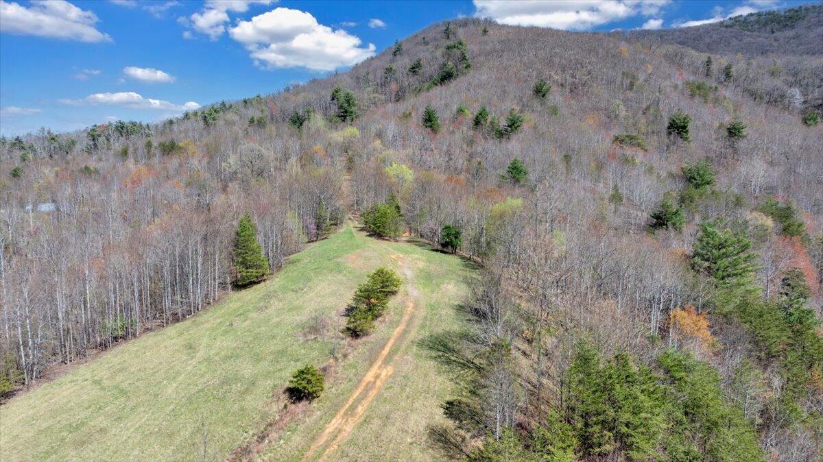 Bandy Rd, Roanoke, Virginia image 6