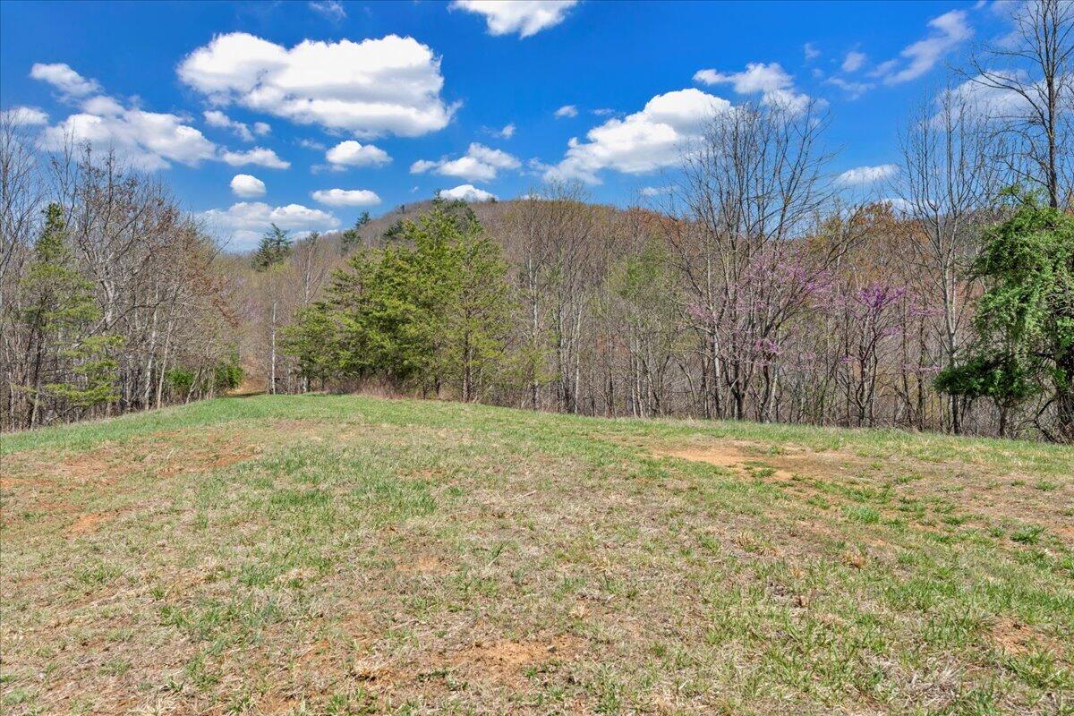 Bandy Rd, Roanoke, Virginia image 20