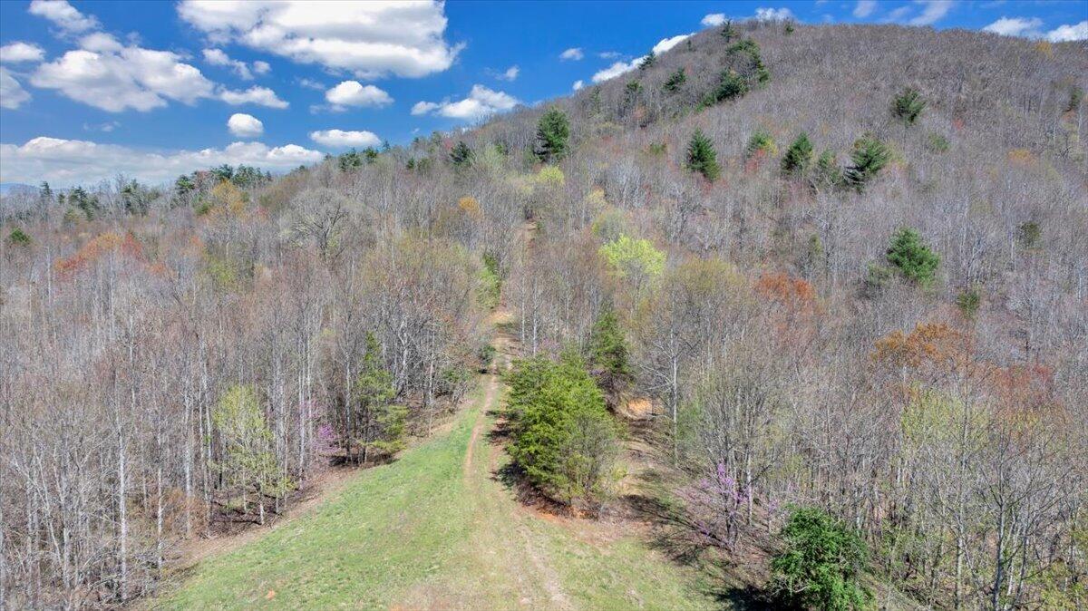 Bandy Rd, Roanoke, Virginia image 7