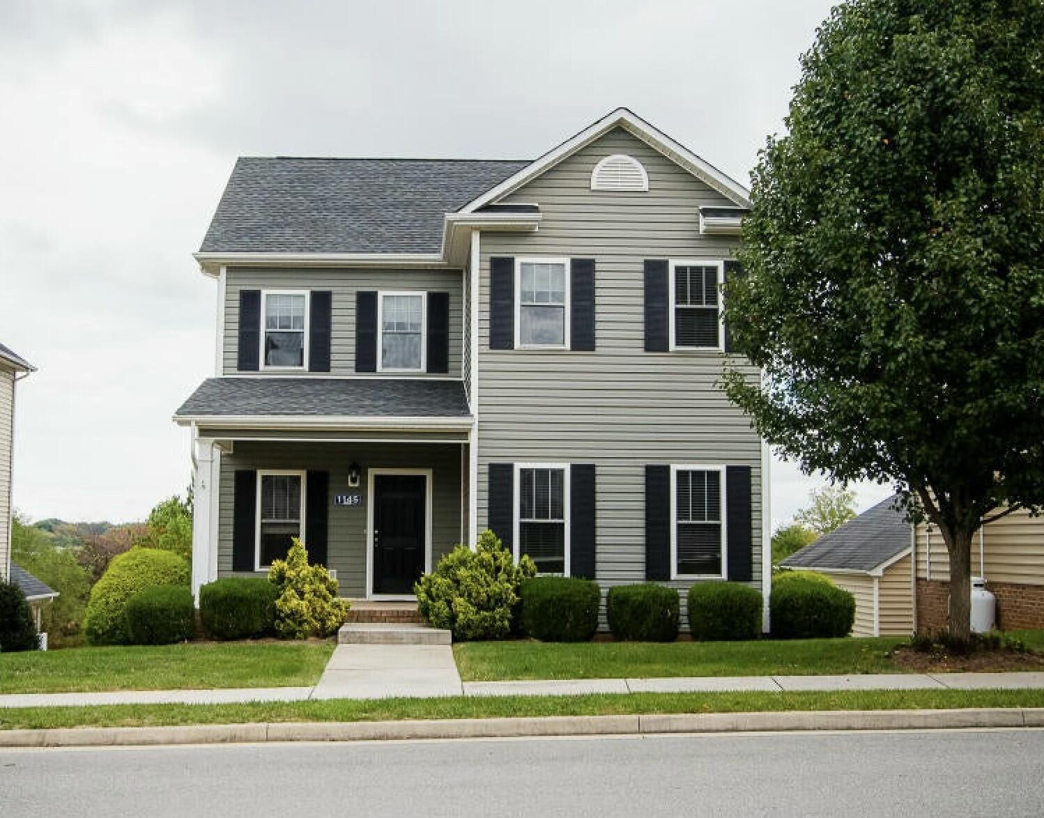 1145 Cranberry Ct, Moneta, Virginia image 2