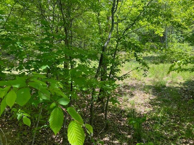 Lot 38 Lakewatch Cir, Moneta, Virginia image 2