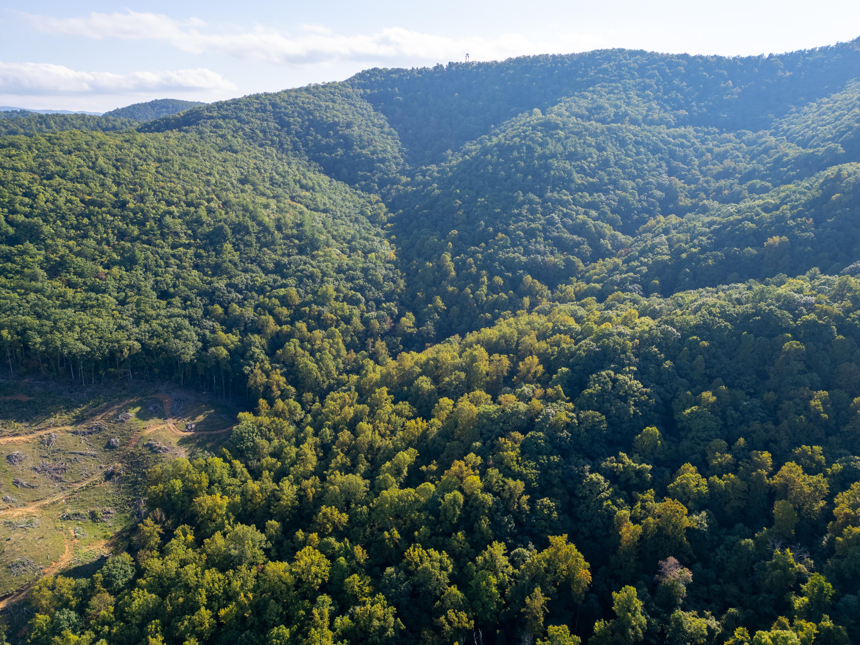 Twelve Oclock Knob Rd, Roanoke, Virginia image 2