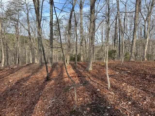 Lot 36 Chestnut Dr, Hardy, Virginia image 1