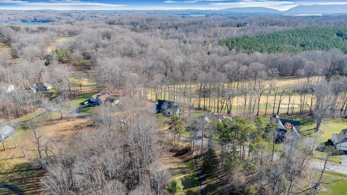 560 Back Nine Dr, Moneta, Virginia image 12